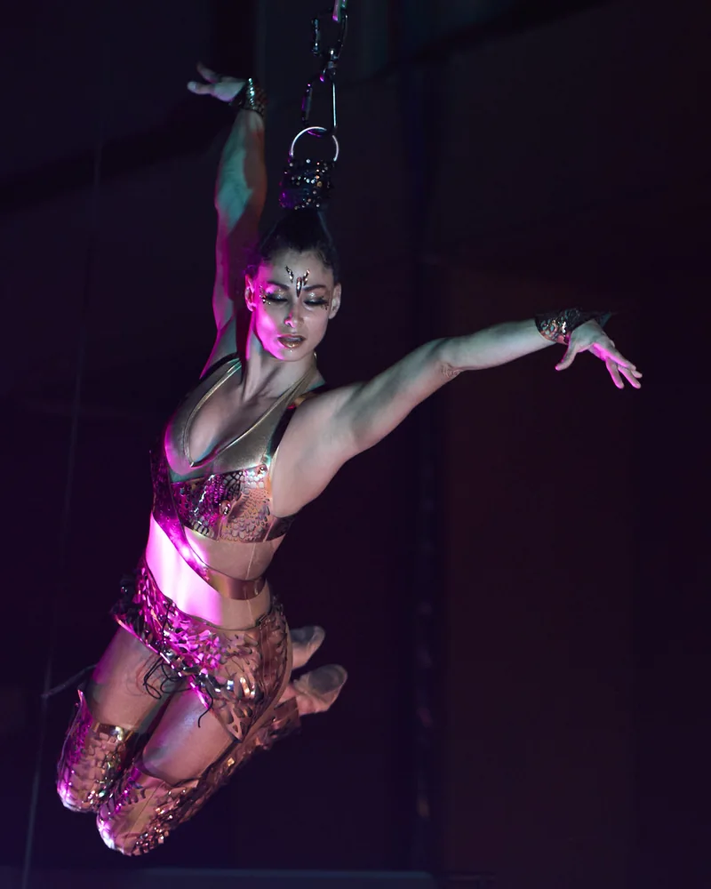 Aerialist in Reality Collapse