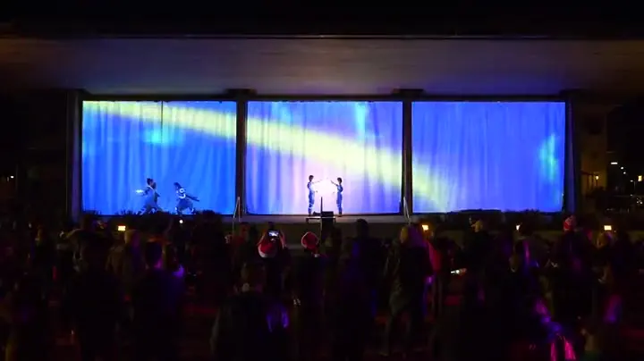Buzzfest Group LED Show