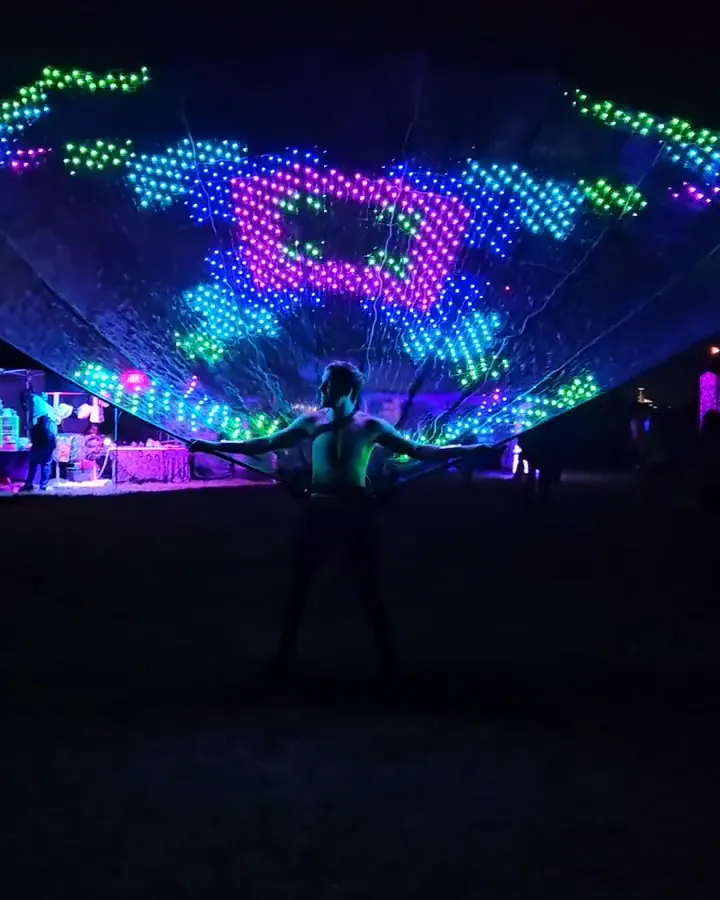 LED Peacock Festival