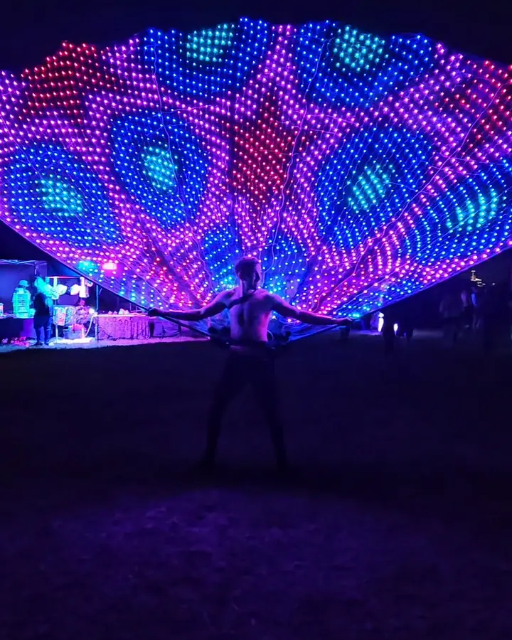 LED Peacock Costume