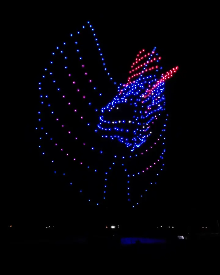 Outdoor Drone Light Show